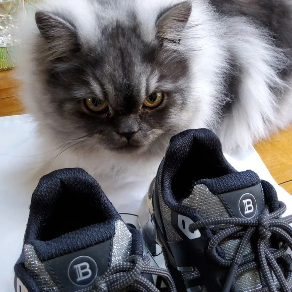 Balmain Sneakers! EUC! - Picture 8 of 13